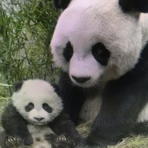 Meet your Posher, Kristin